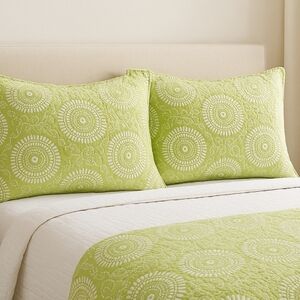 Pine Cone Hill Botanical Green Quilted Cotton Standard Pillow Shams Set of 2